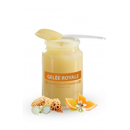 Gel E Royale Vitamine C Go T Dorange Maison Cr Tet